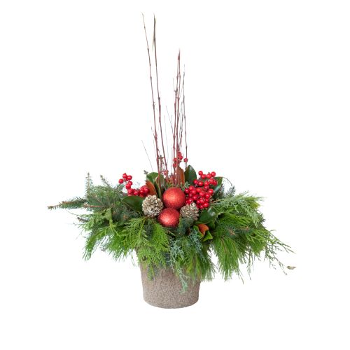 Mississauga Garden Centre Make It & Take It: Festive Porch Pot