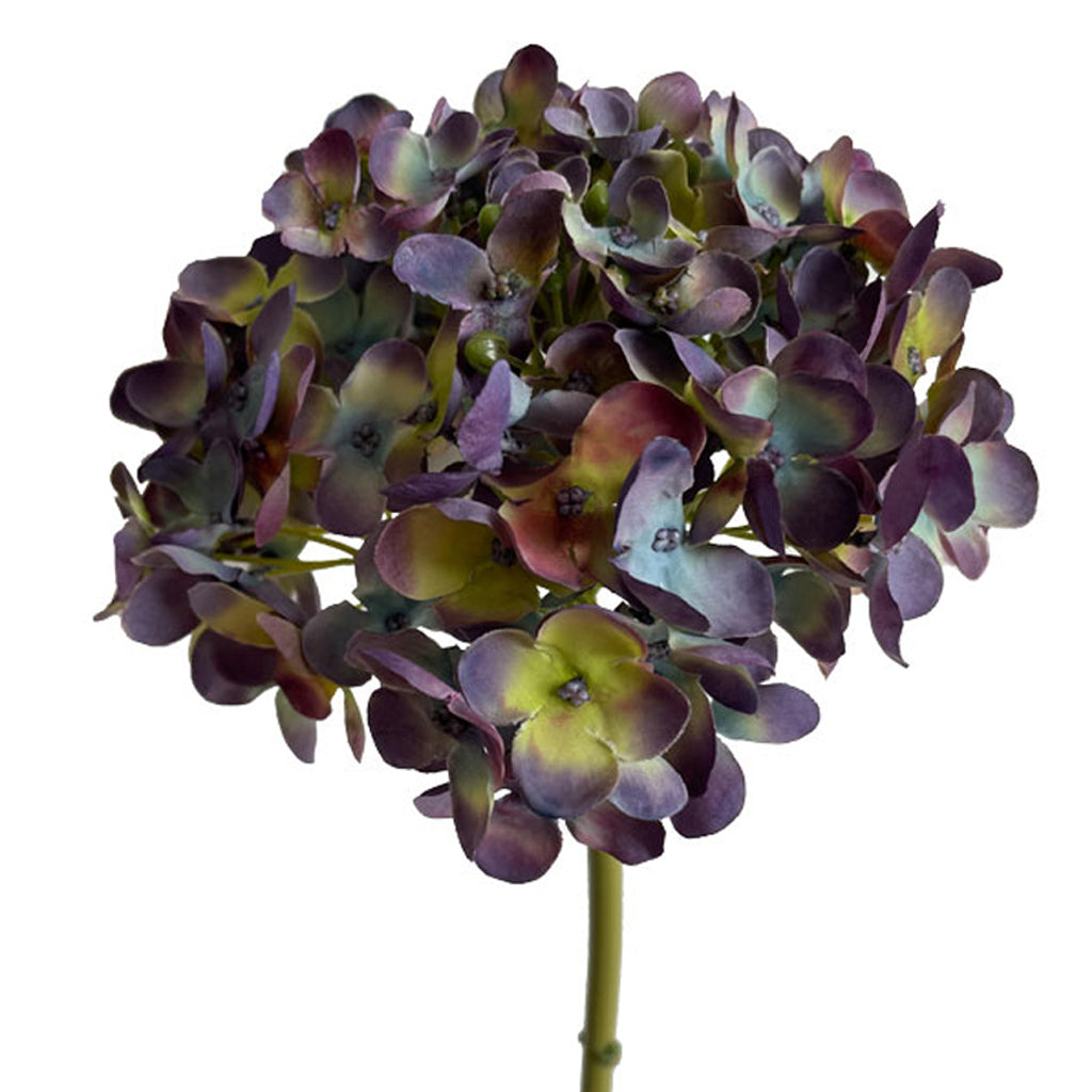 Hydrangea Short Stem 18.5&quot; Green/Purple (Everlasting)