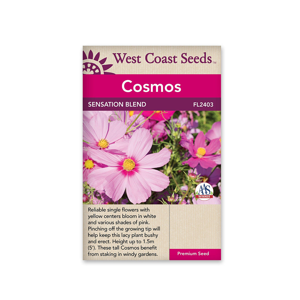 Cosmos Sensation Mix