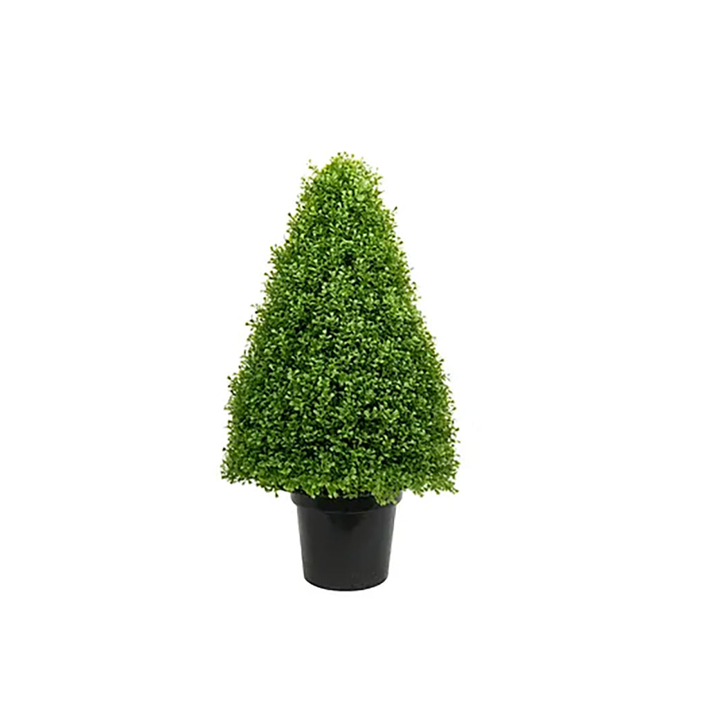 Boxwood Cone Topiary 30In Everlasting
