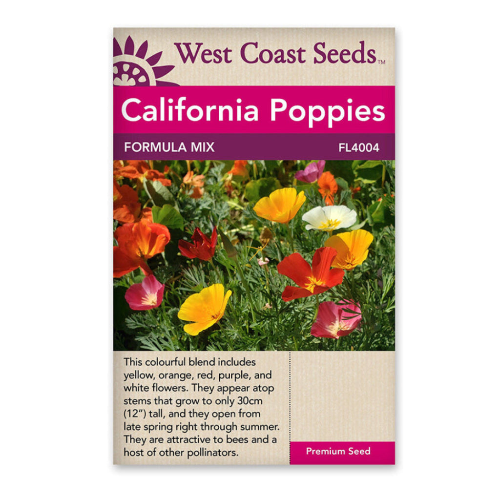 Poppy Mixture California Poppys Formula Mix - Sheridan Nurseries