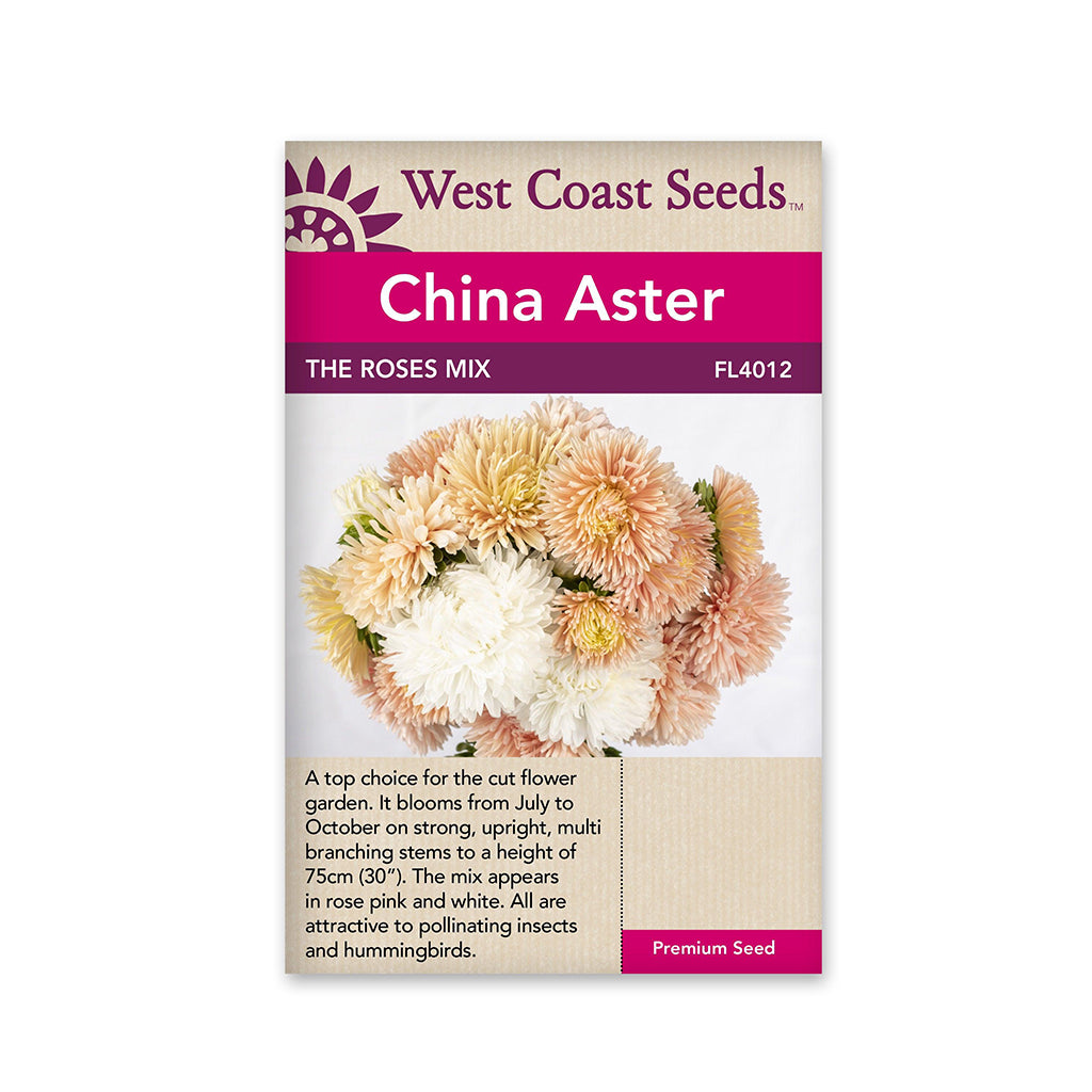 China Aster The Roses Mix