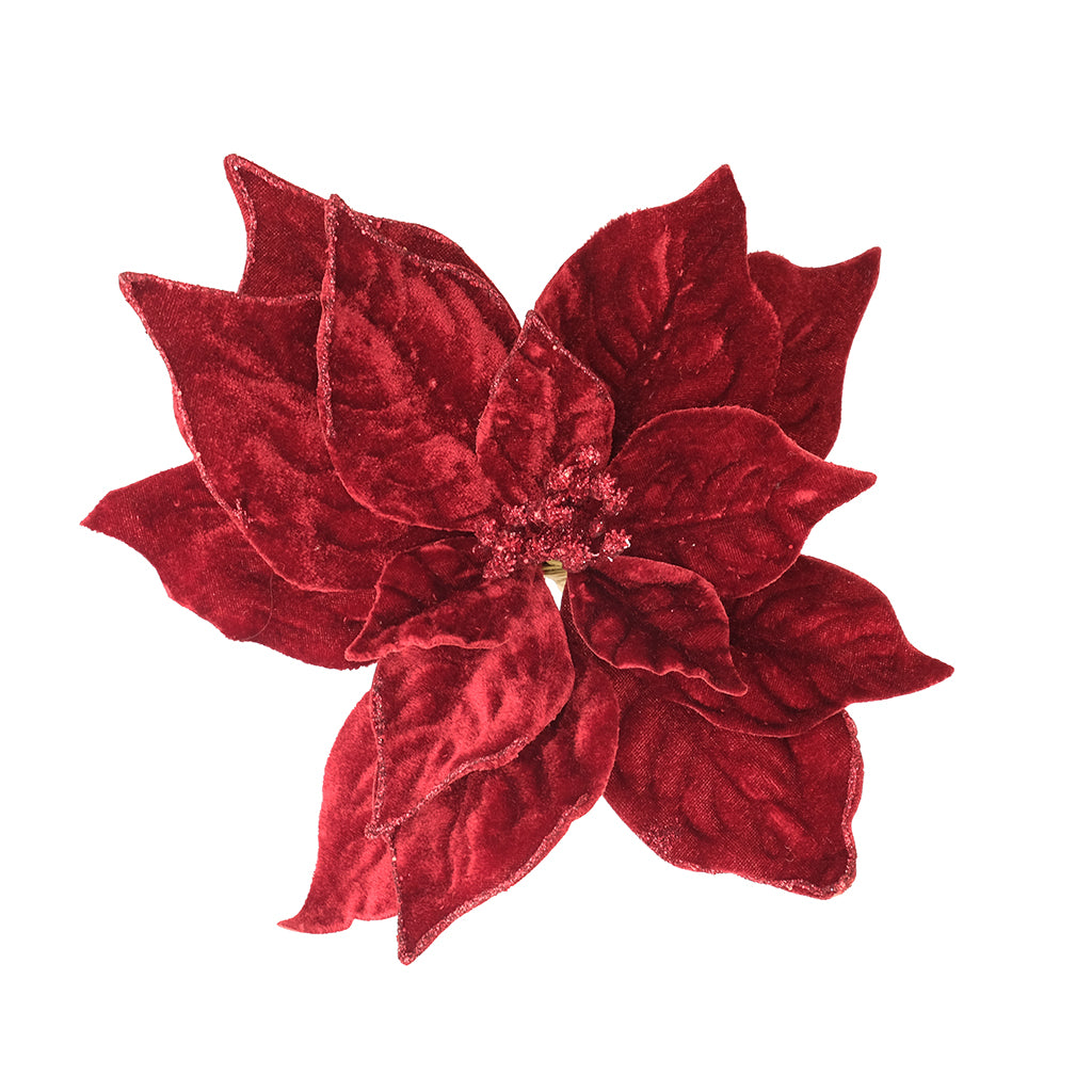 Velvet Poinsettia Stem 20in Burgundy