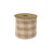 Checks Ribbon 4inx5yd Brown White