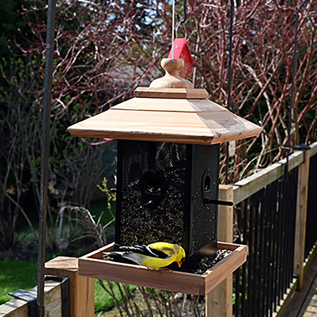 Backyard Wood Bin Feeder