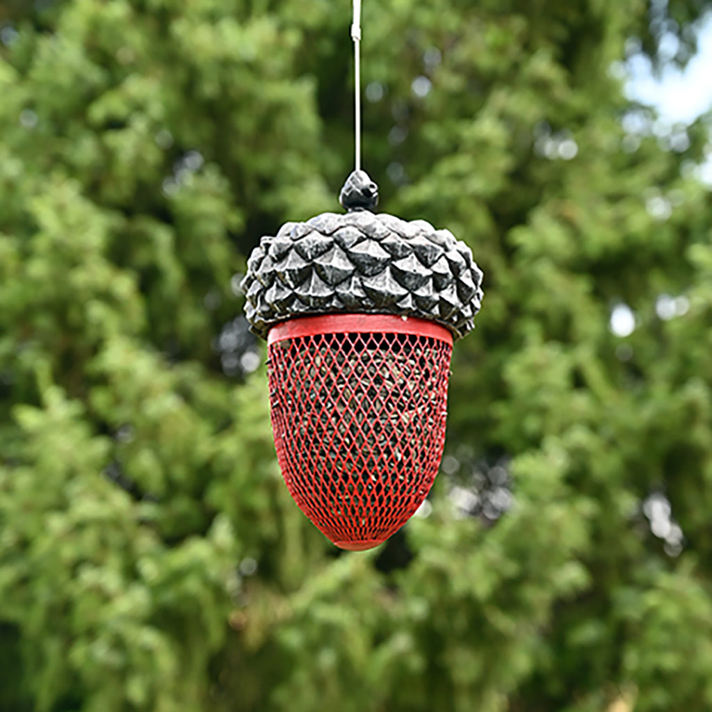 Acorn Shape Black Oil Sunflower Feeder - Red