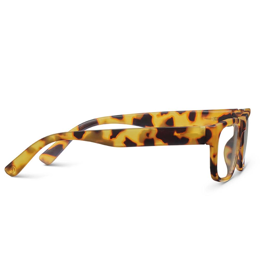 Monsoon - Toyko Tortoise