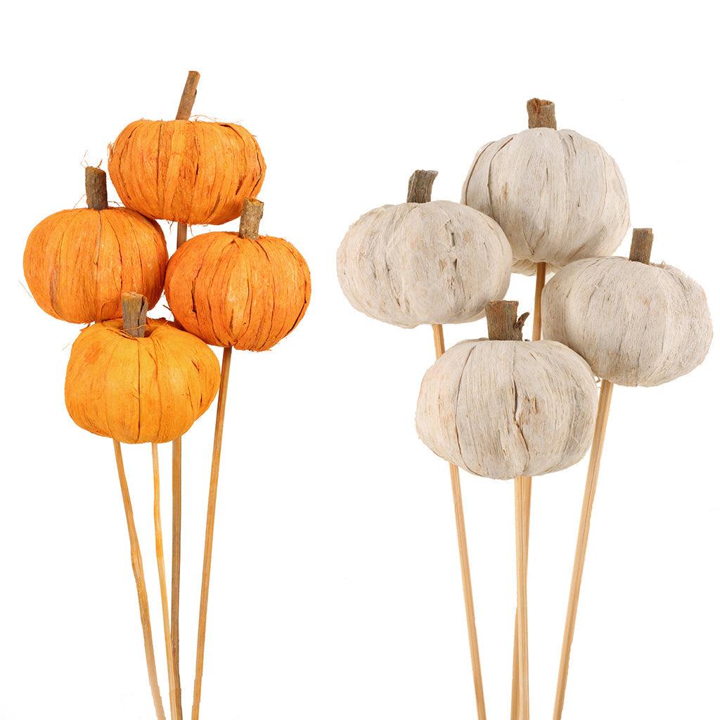 Pumpkins Orange & White Stem