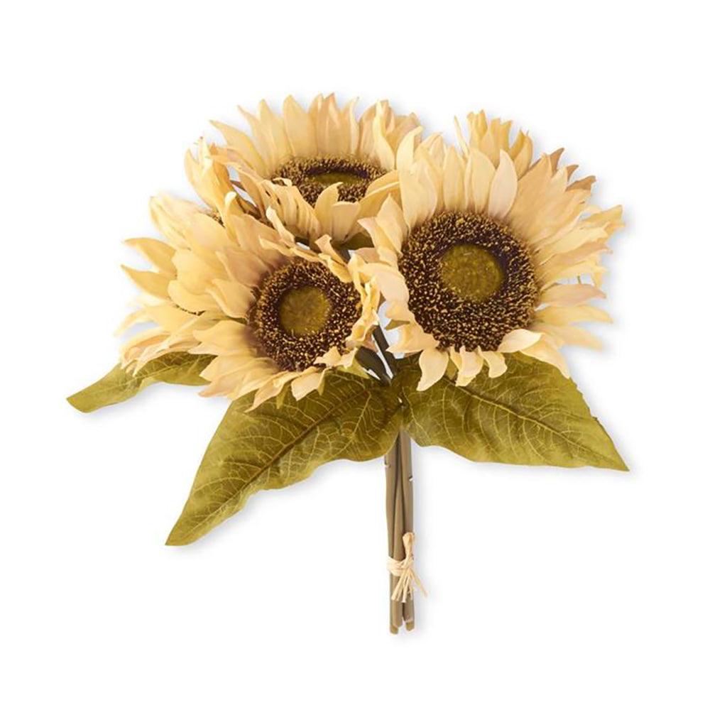 Sunflower 5 Stem Bundle Cream