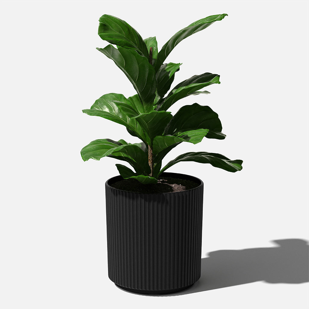 Mason Demi Planter 20" Black