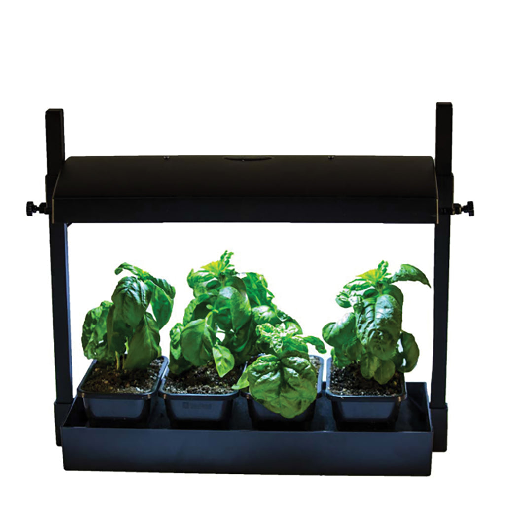 Sunblaster Grow Light Garden T5 Plus Timer