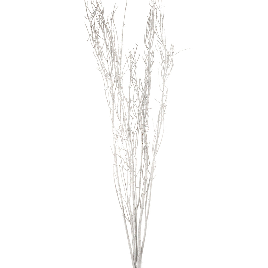 Birch Branches 3-4' Consumer Pack White Frost
