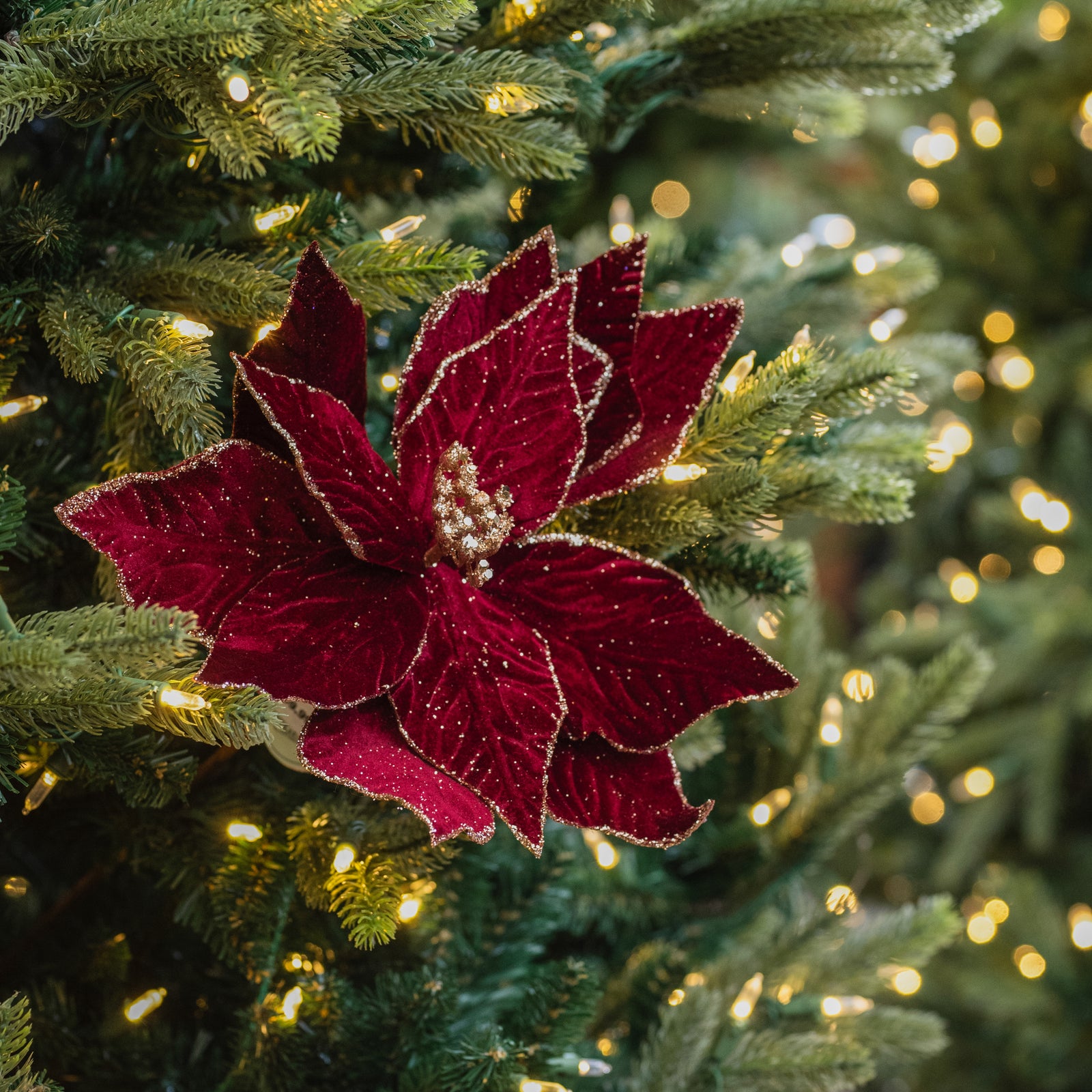 Rich Velvet Poinsettia Stem