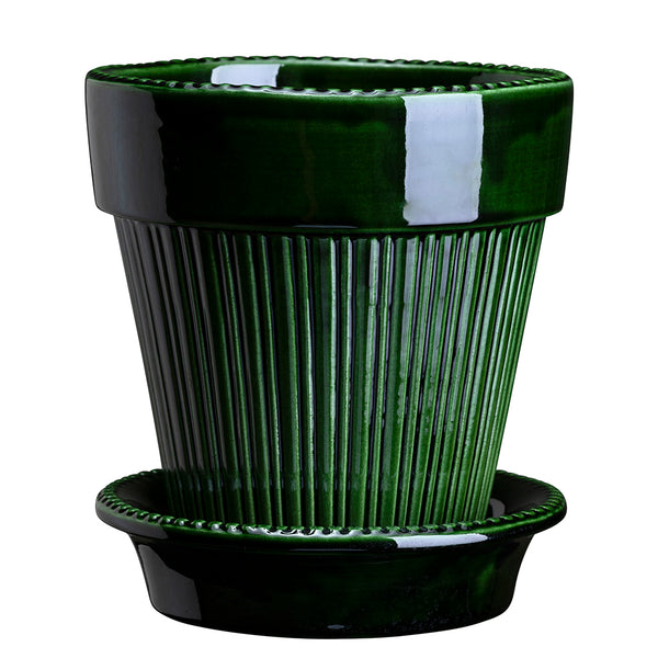 Simona Pot with Saucer Emerald - Sheridan Nurseries