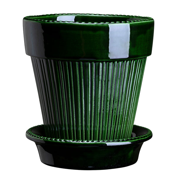 Simona Pot with Saucer Emerald - Sheridan Nurseries