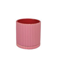 Caris Pot Pink - Sheridan Nurseries
