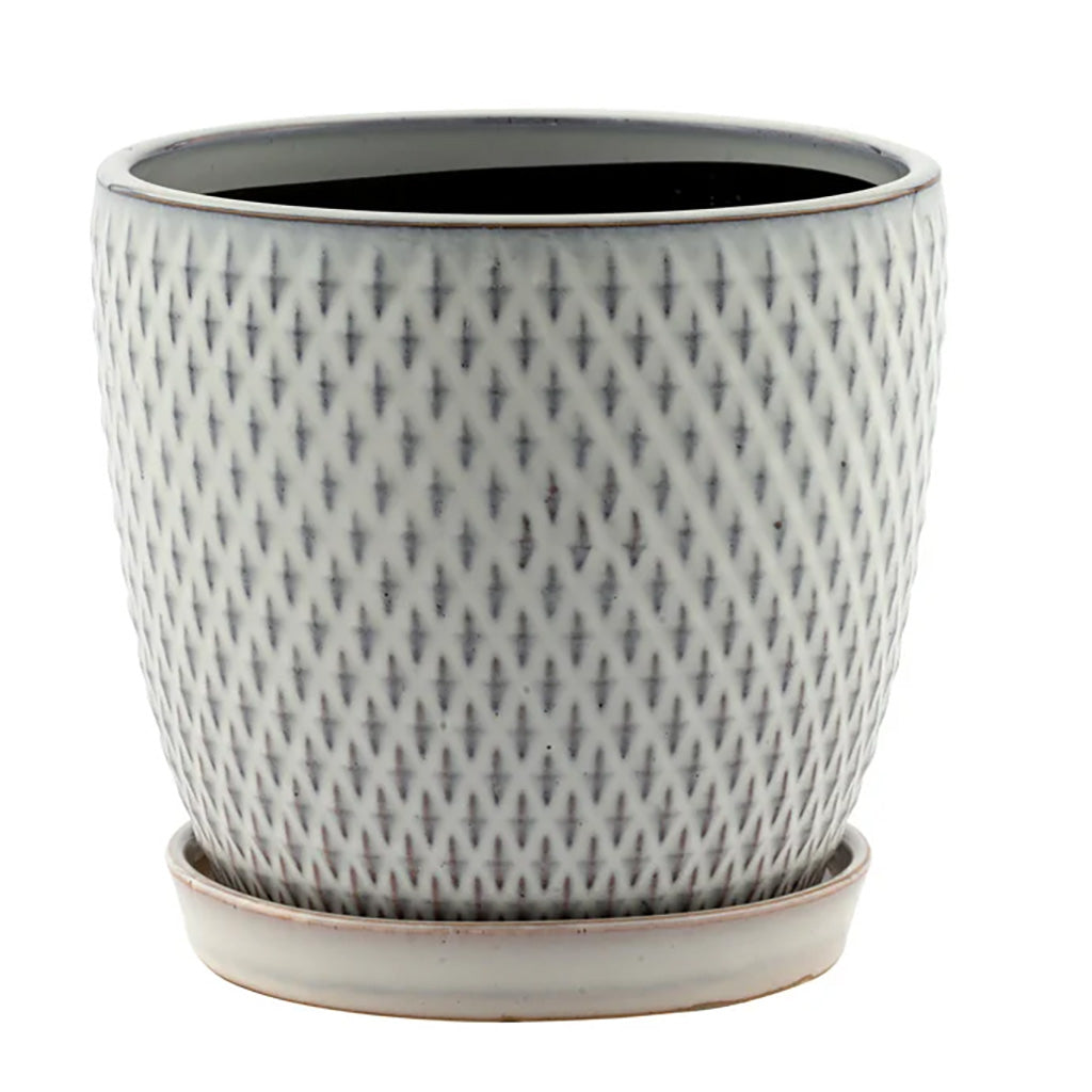 Elevate your plant game with this ceramic pot featuring an elegant, modern design. Perfect for adding a touch of sophistication to any room in your home.