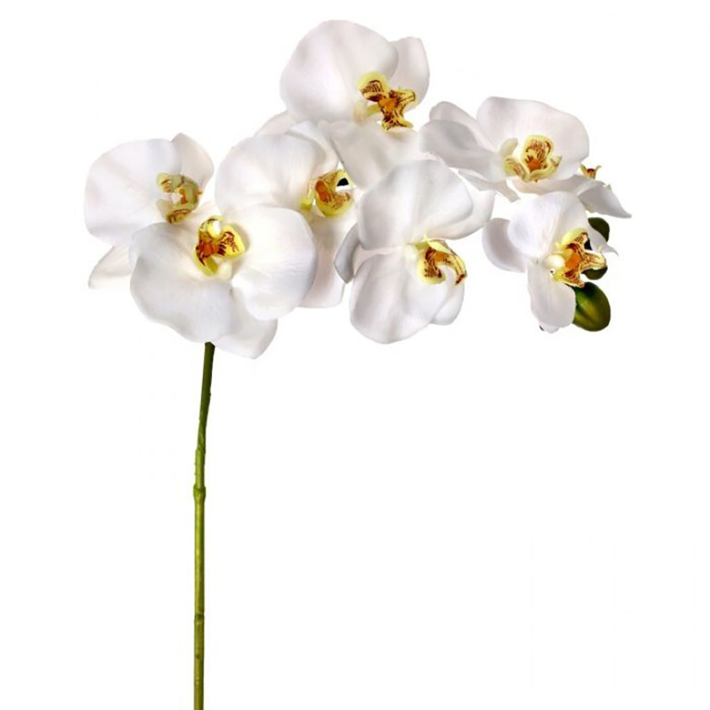 Natural Touch Orchid Stem 34&quot;