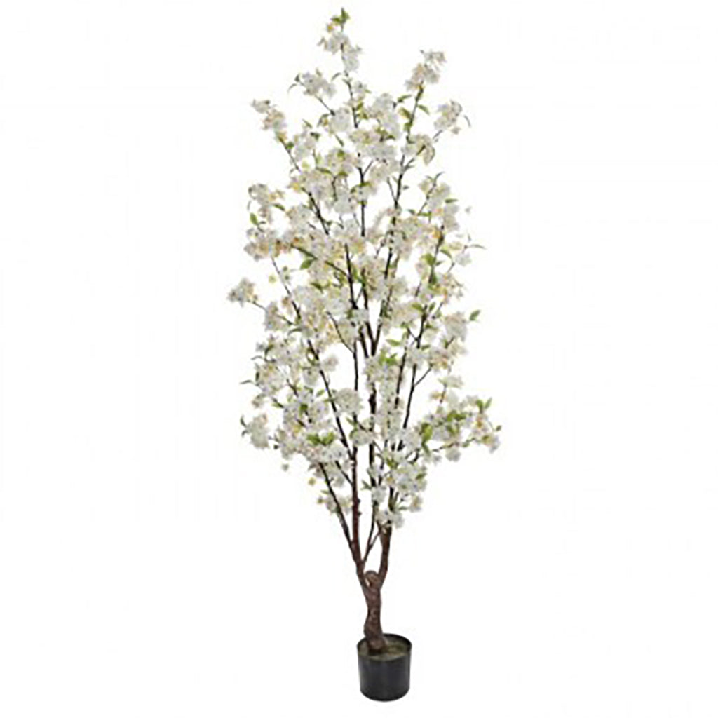 Cherry Blossom Tree 5.5' White