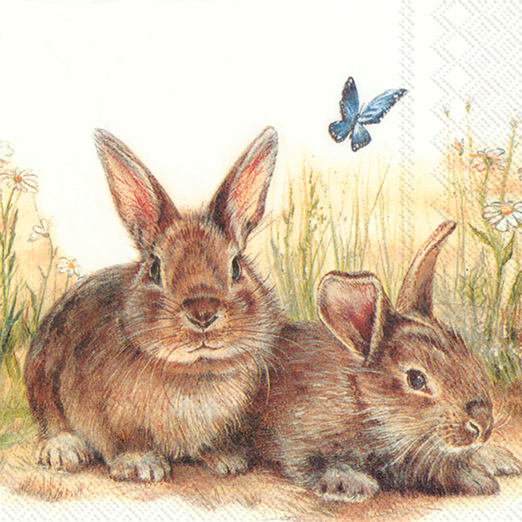 Enhance the ambiance of your Spring gatherings with the exquisite detail and beauty of Bunny and Clyde. 