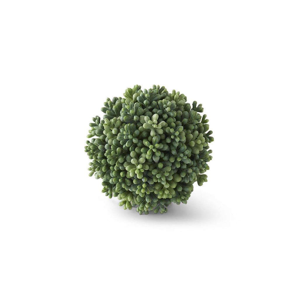 Green Berry Seed Ball Everlasting