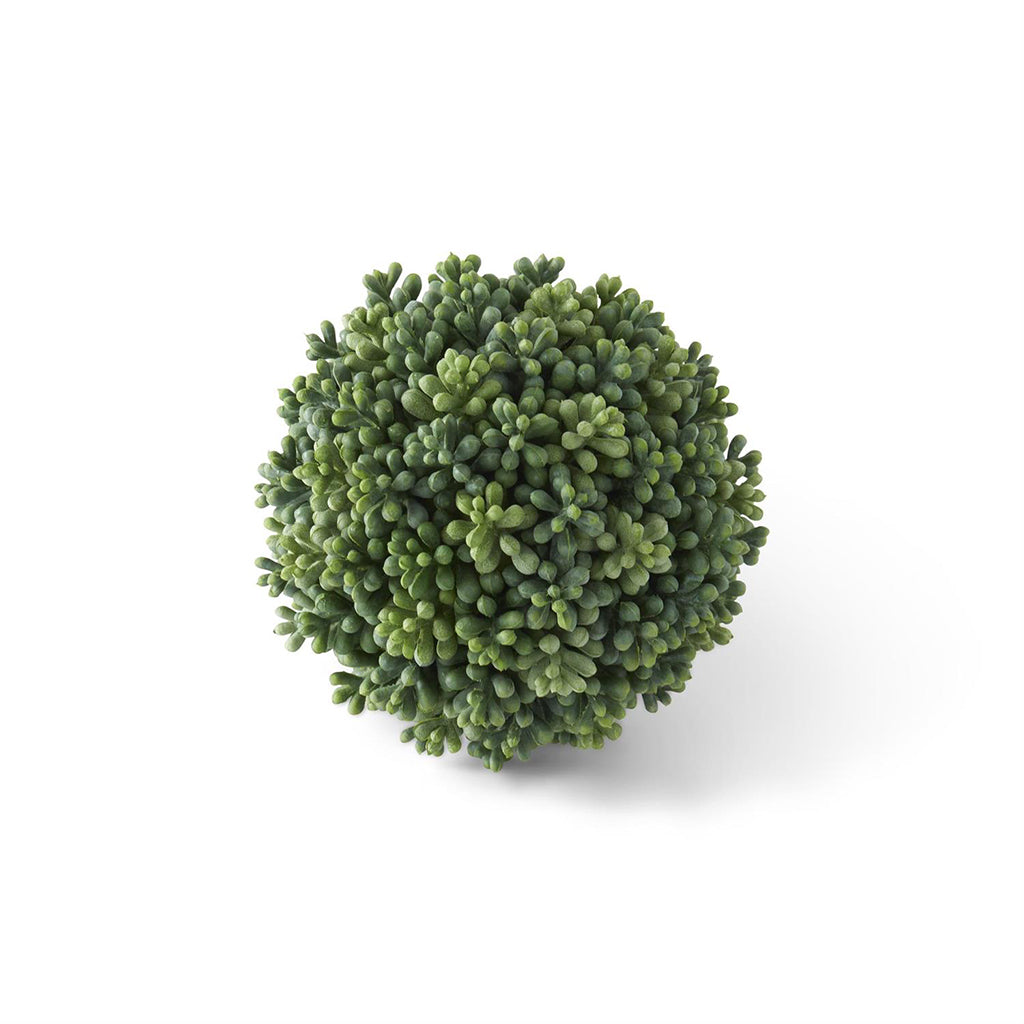 Green Berry Seed Ball Everlasting