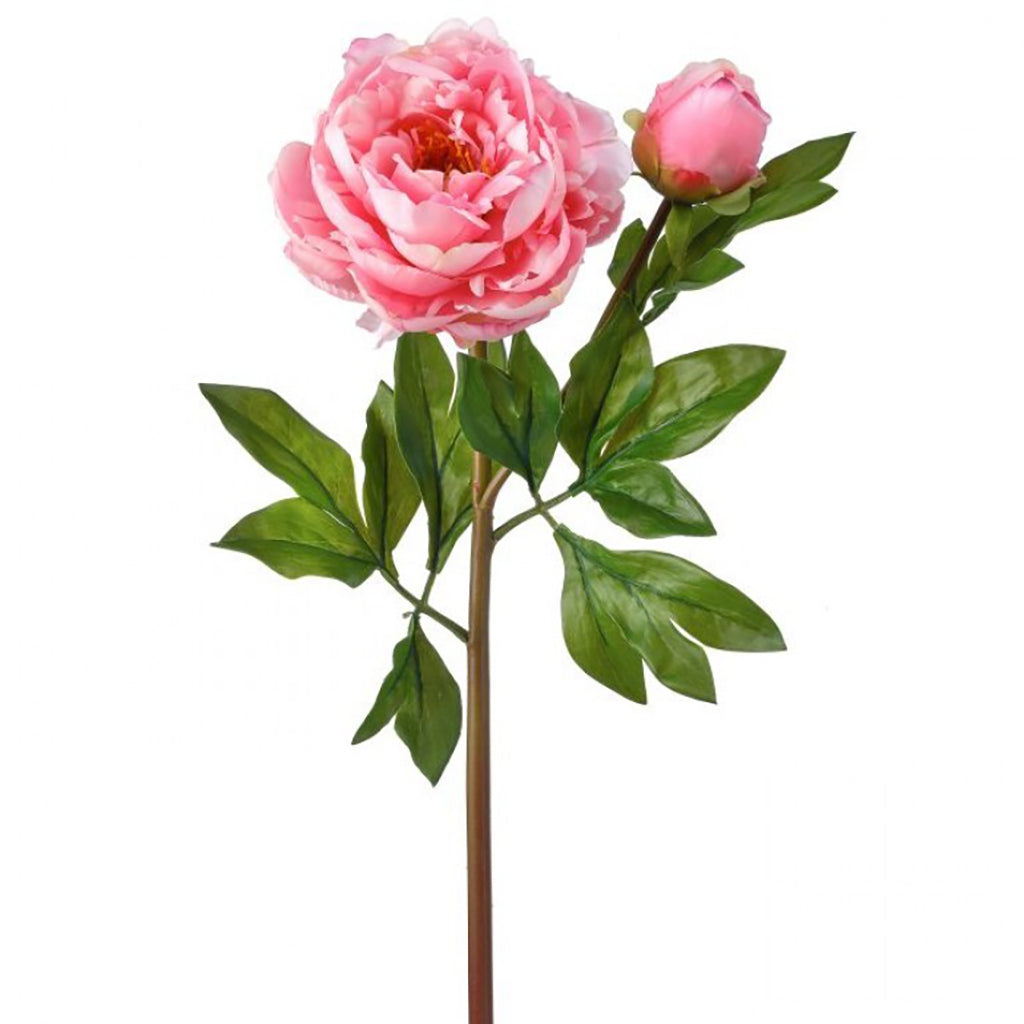 With vibrant hues and everlasting beauty, the Just Cut Garden Peony and Bud promises to brighten any room. 