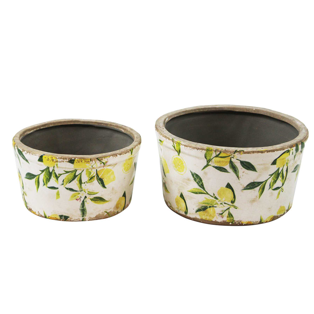 Freshen up your countertop with these charming ceramic lemon planters in two sizes. Perfect for adding a touch of character to your kitchen décor.