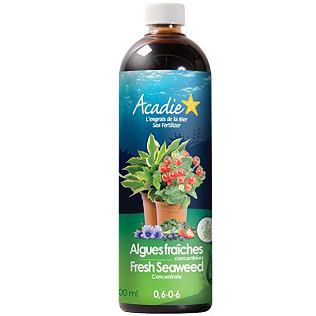 Acadie Fresh Seaweed Concentrate 500ml