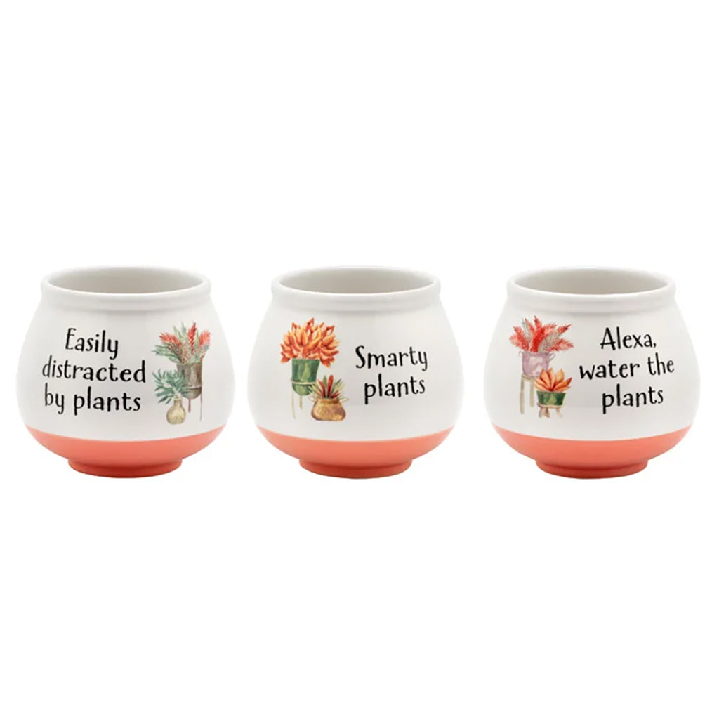 Incorporate some fun into your spaces with one or all of these coral pots. With each having a unique and fun saying, these pots will add some amusement. 
