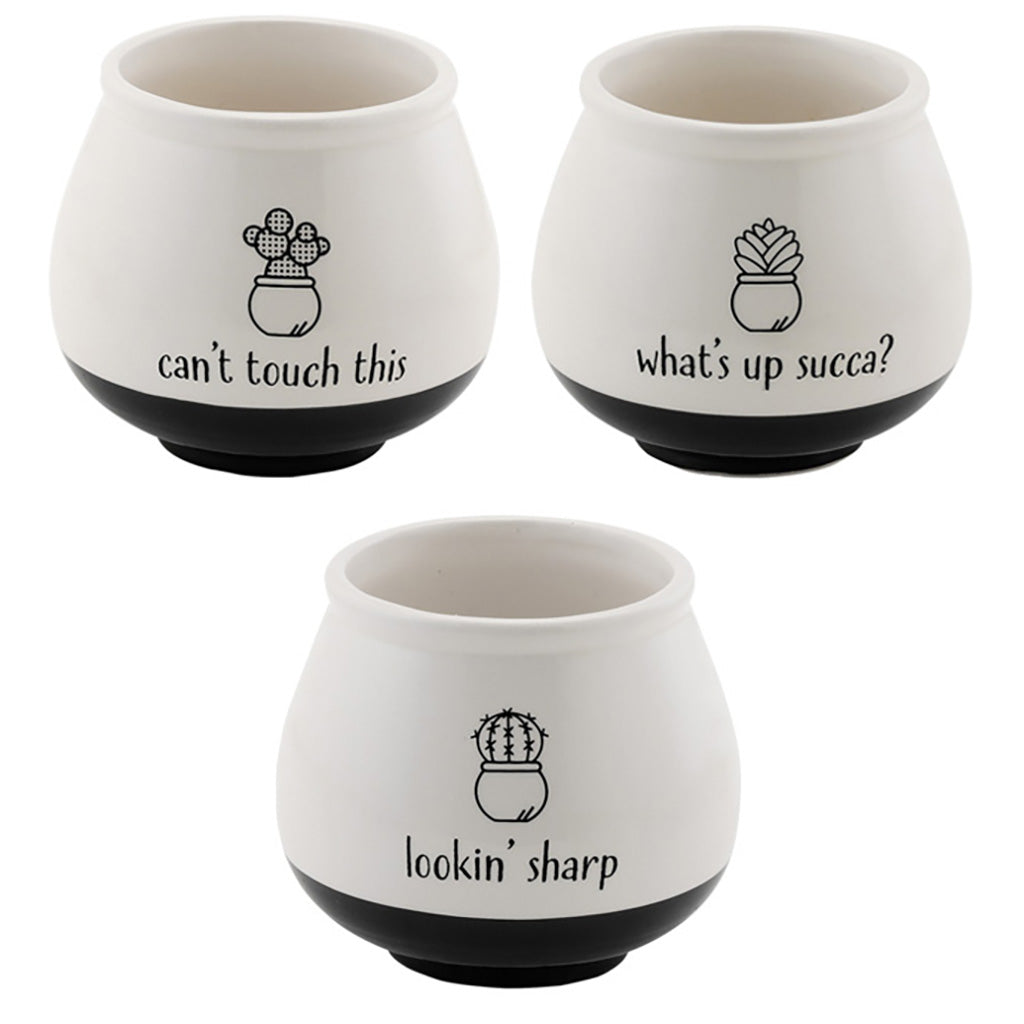 Add a touch of personality to your home décor with the decal punny pots. These charming pots come in three different designs, and are a fun way to brighten up any room.