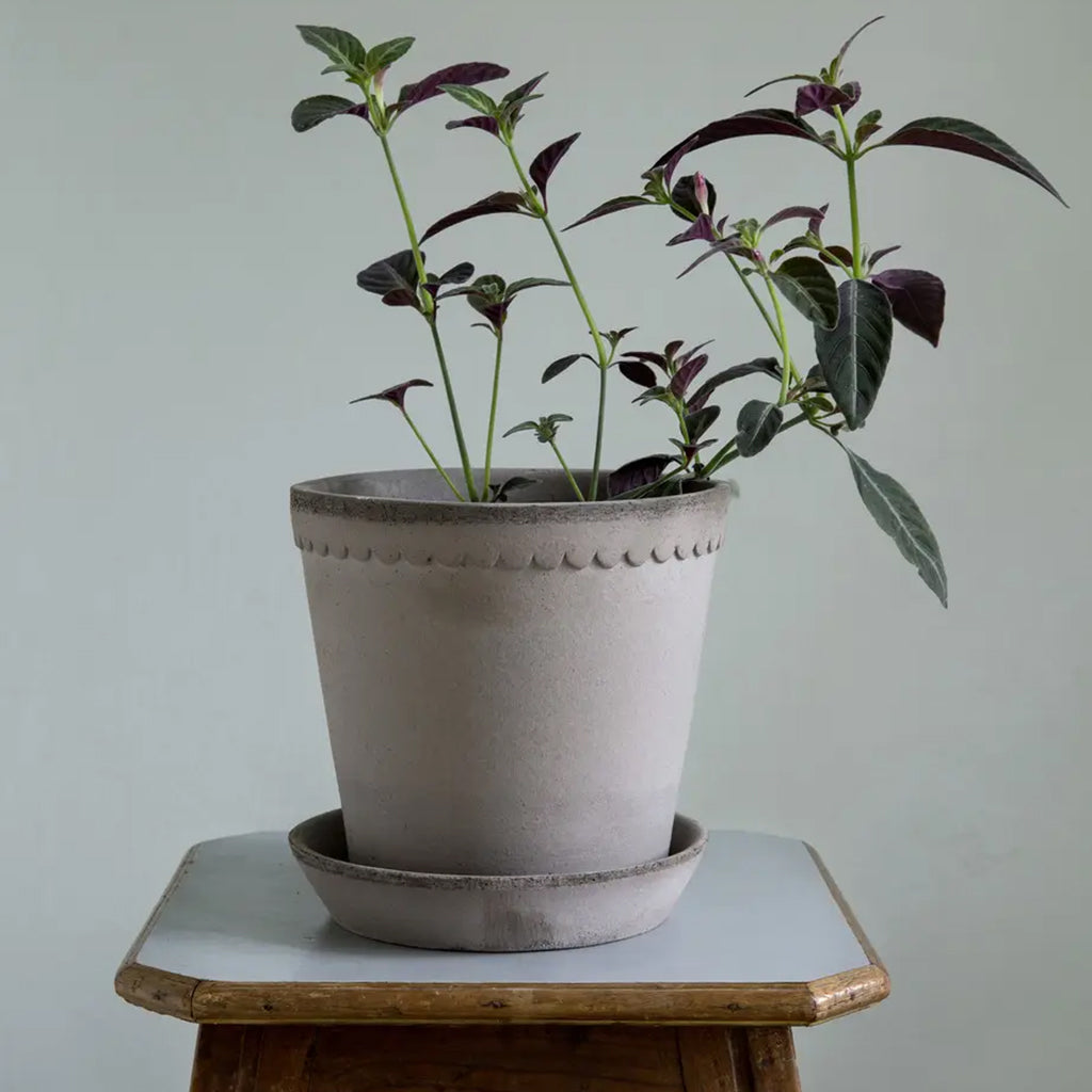 Helena Raw Pot with Saucer Grey