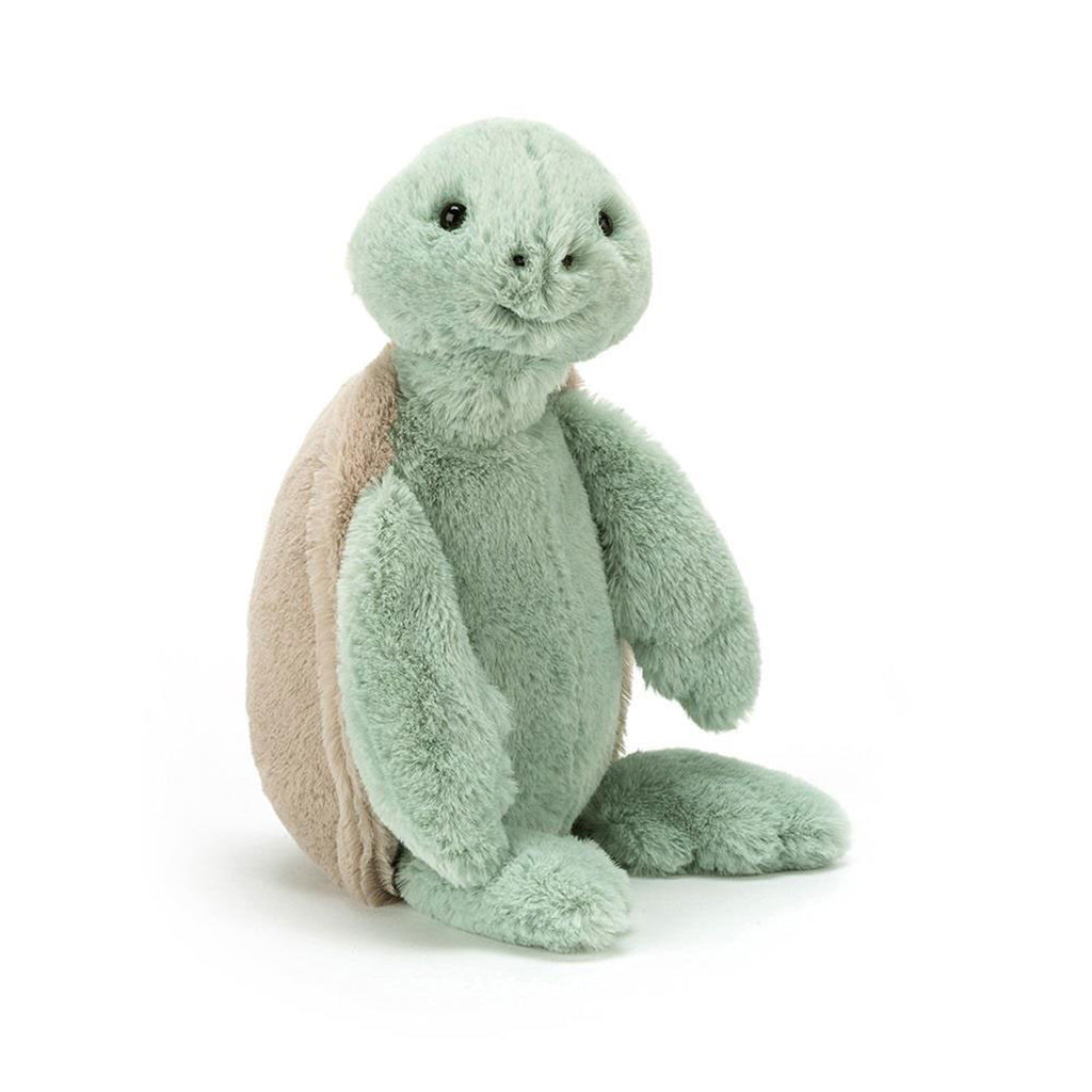 Bashful Turtle Original (Medium)