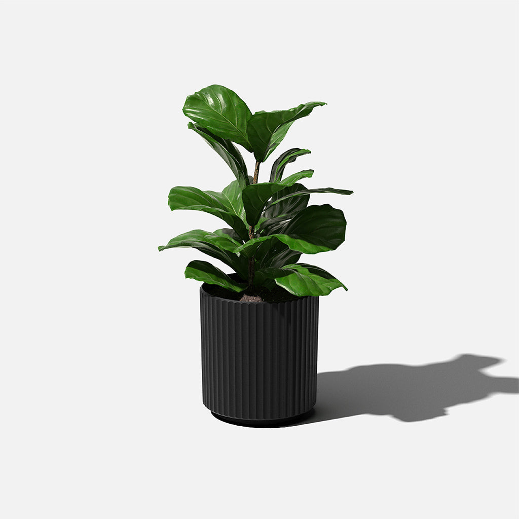 Demi Planter 12"