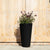 Demi Tall 26" Planter Black