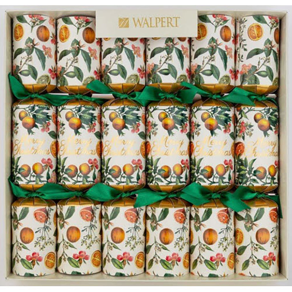 Christmas Oranges Crackers