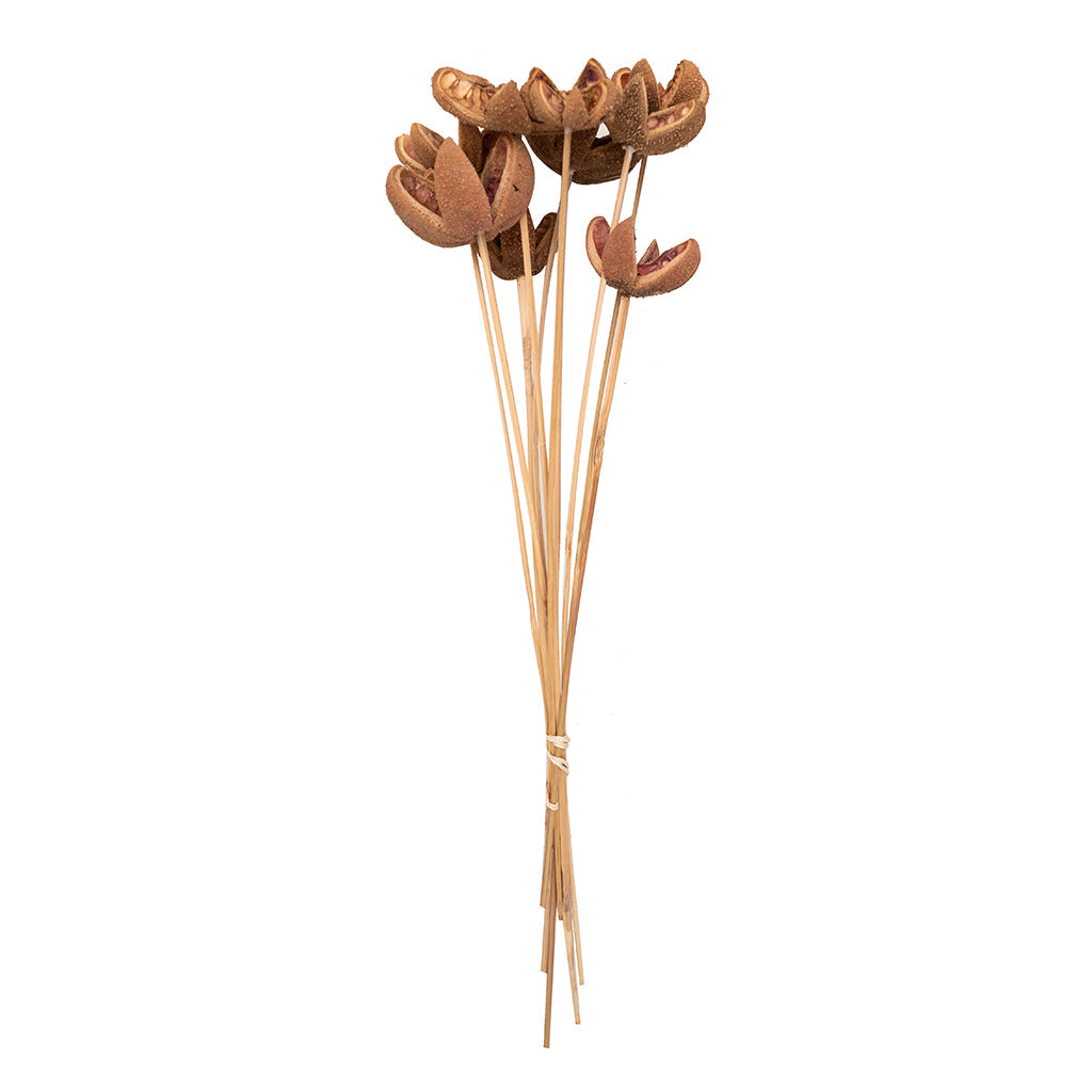 Cartoos Flower On Stem 10Pc