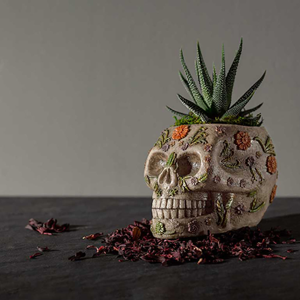 Floral Skull Assorted Succulent 5&quot;