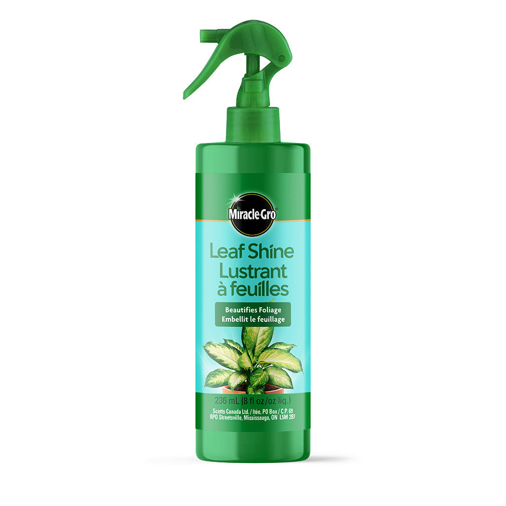 Miracle Gro Leaf Shine 235Ml