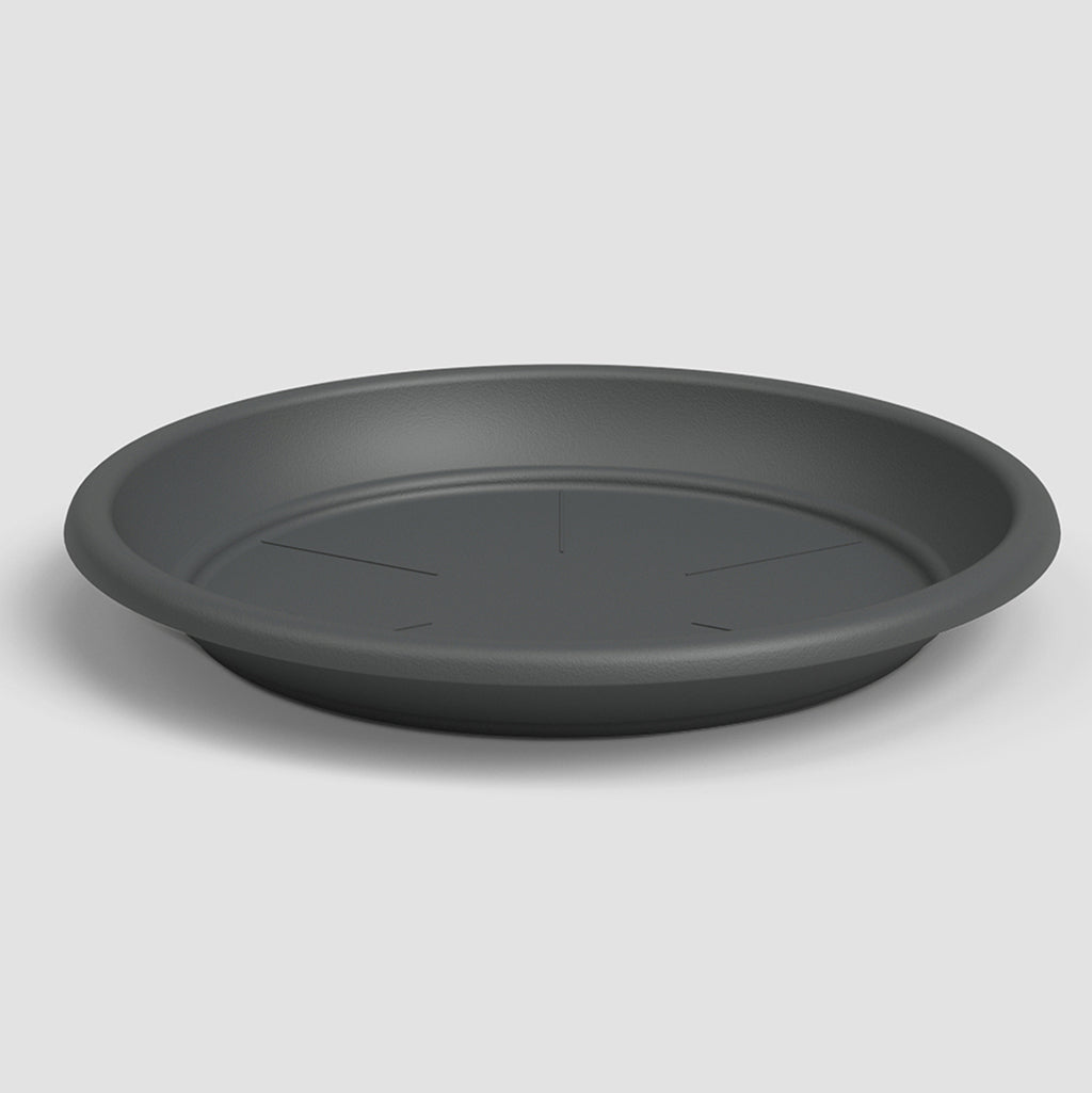Basic Plastic Saucer - Anthracite