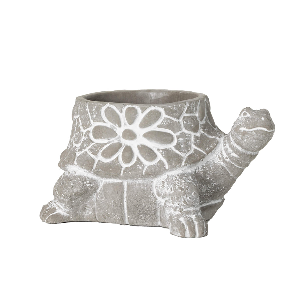 Turtle Shell Pot Turtle Pot - Sheridan Nurseries