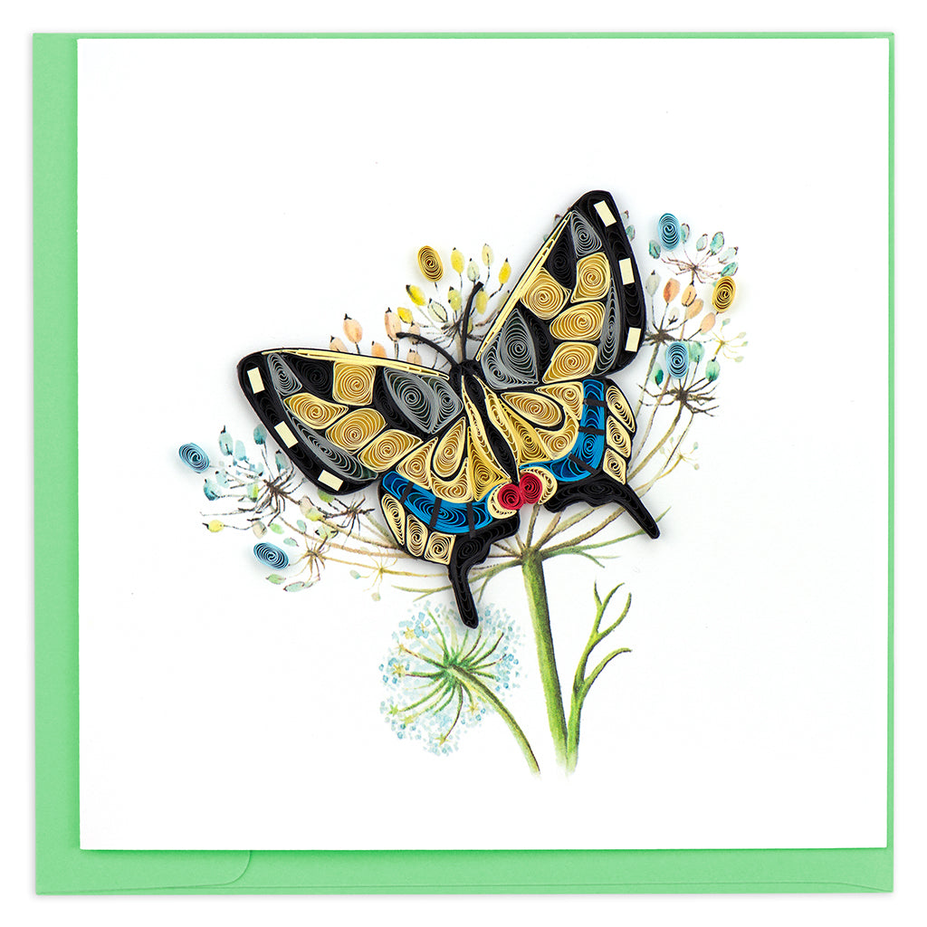 Swallowtail Butterfly Card