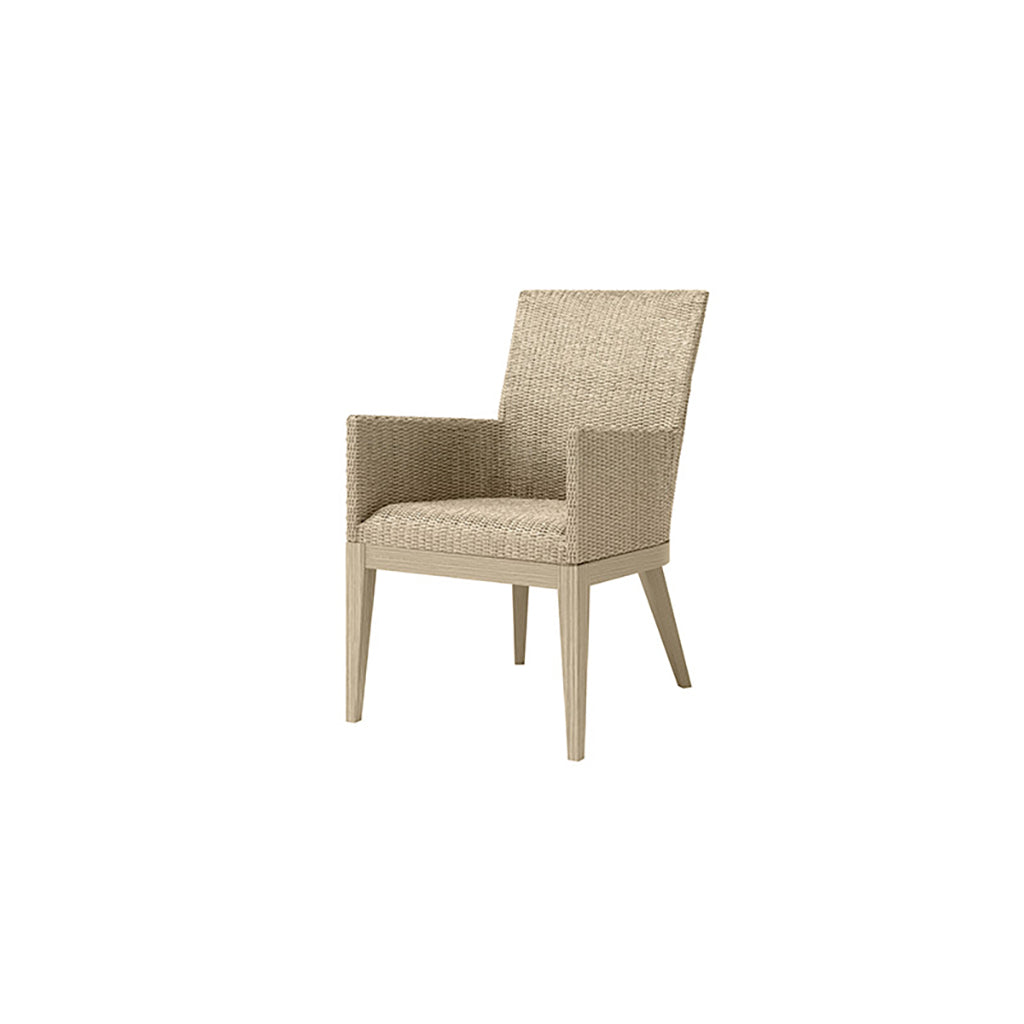 Siena Dining Arm Chair Barley
