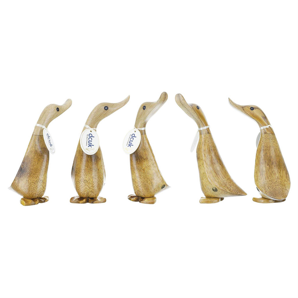 DCUK Natural Ducklings