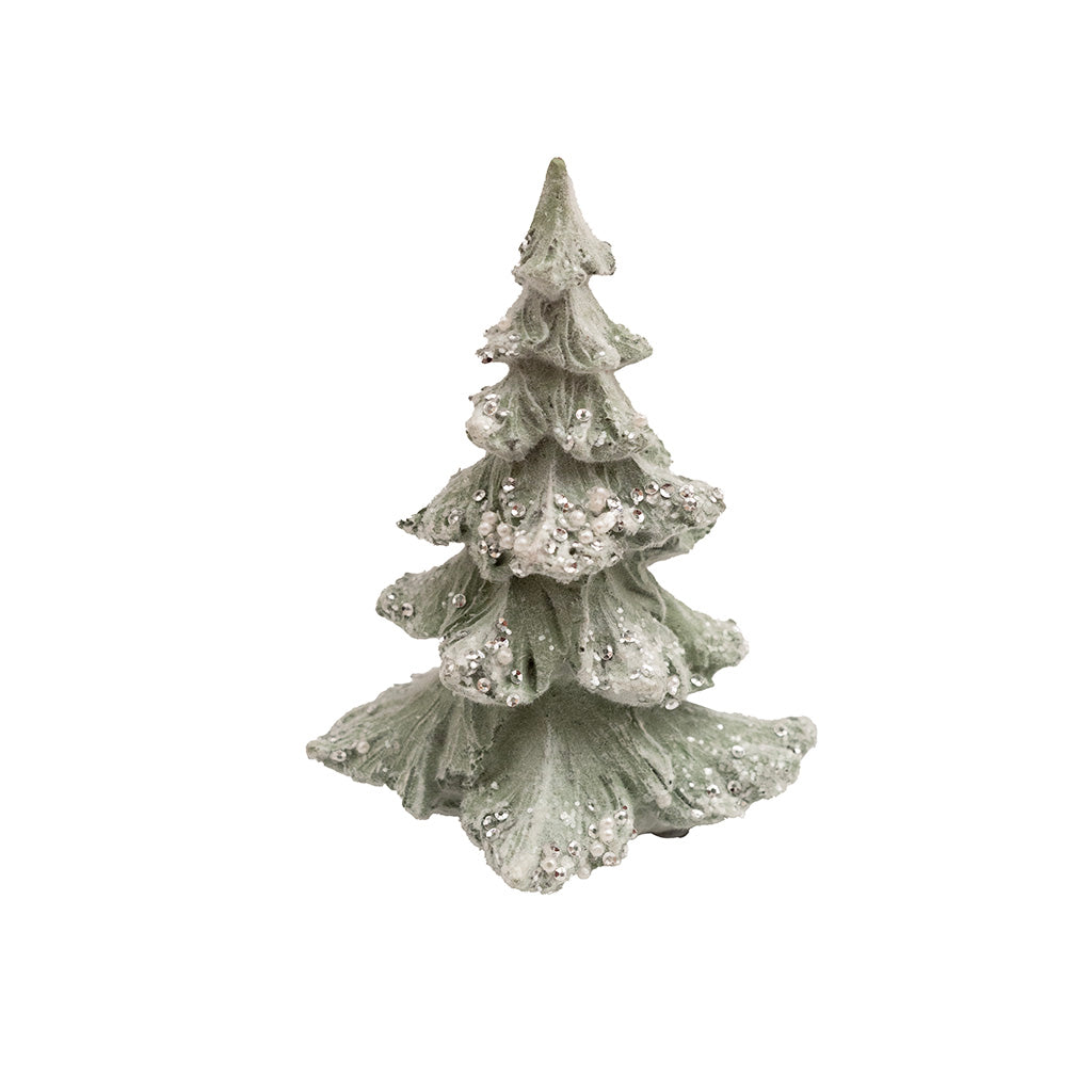 Snow Capped Tree Sage