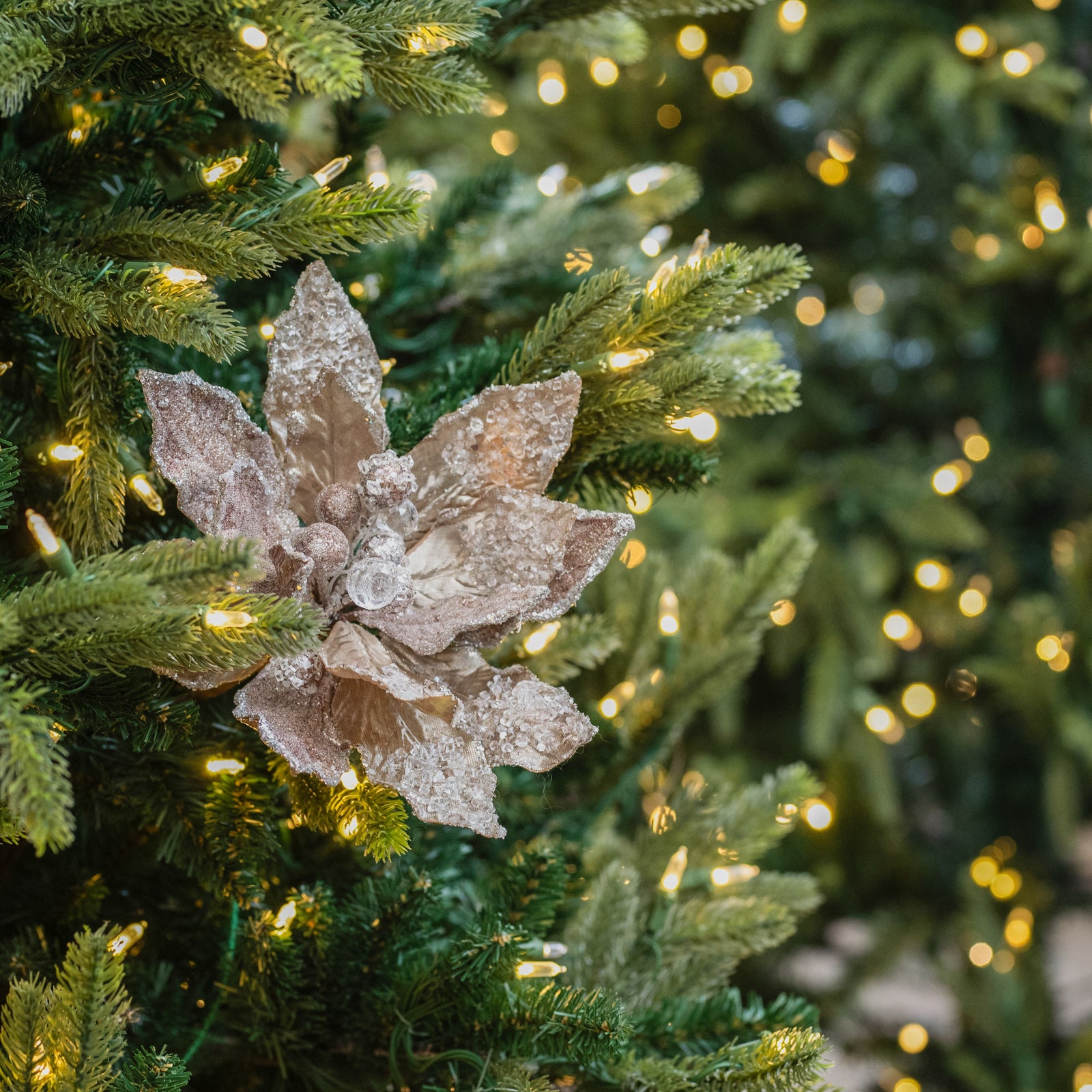Poinsettia Stem Champagne 28"