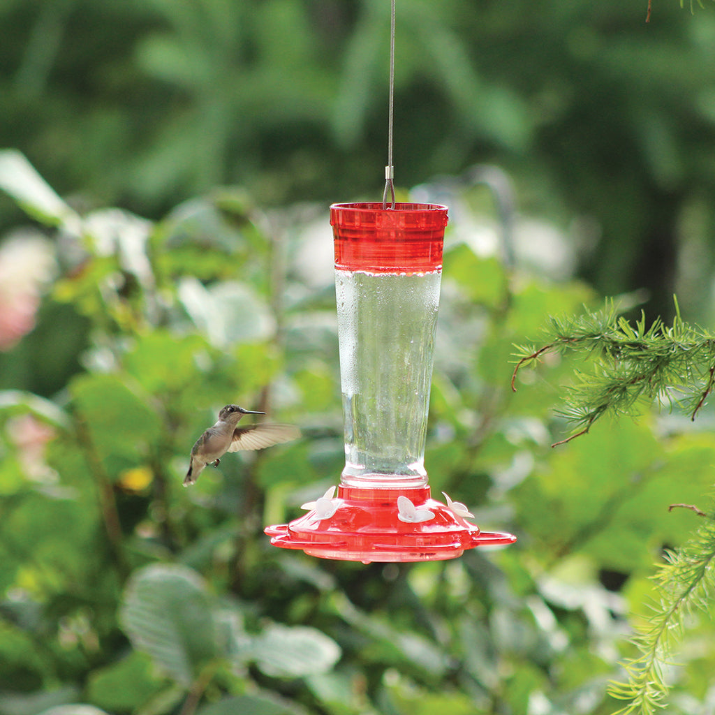 Glass Hummingbird Feeder