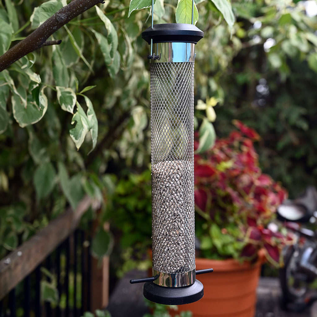 Shelled Sunflower Seeds Tube Feeder