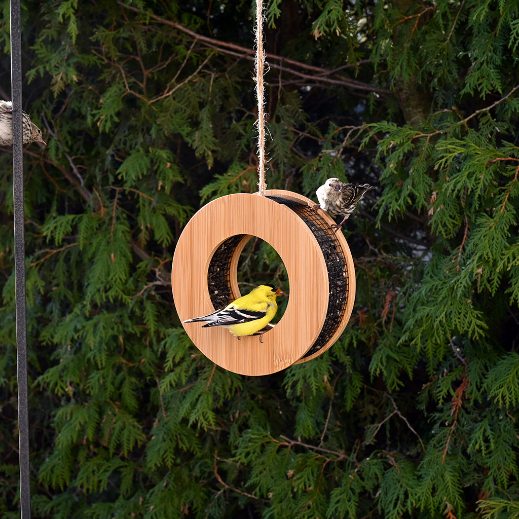 Loop Nurseries Bamboo Loop Feeder - Sheridan Nurseries