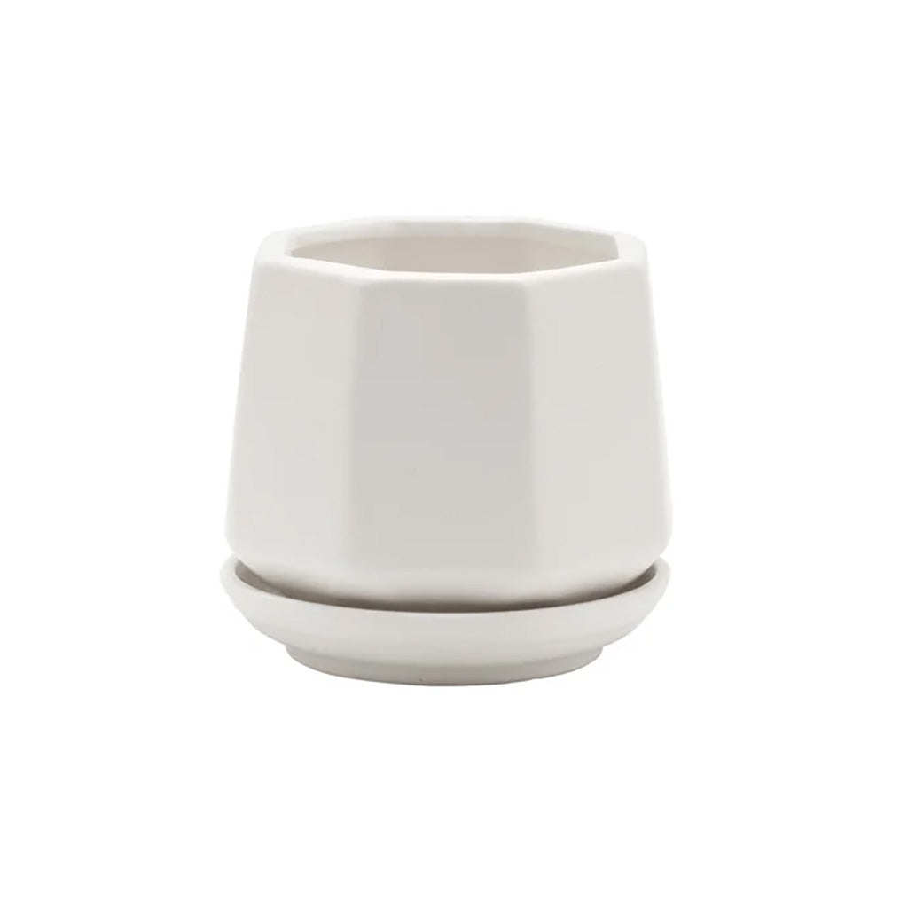 Matte White Hexagonal Planter